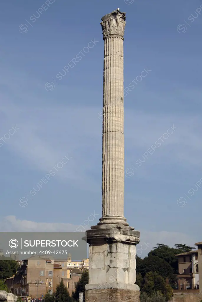 Italy. Rome. Column of Phocas. 608 AD. Dedicated to the Eastern Roman Emperor Phocas. Roman Forum.