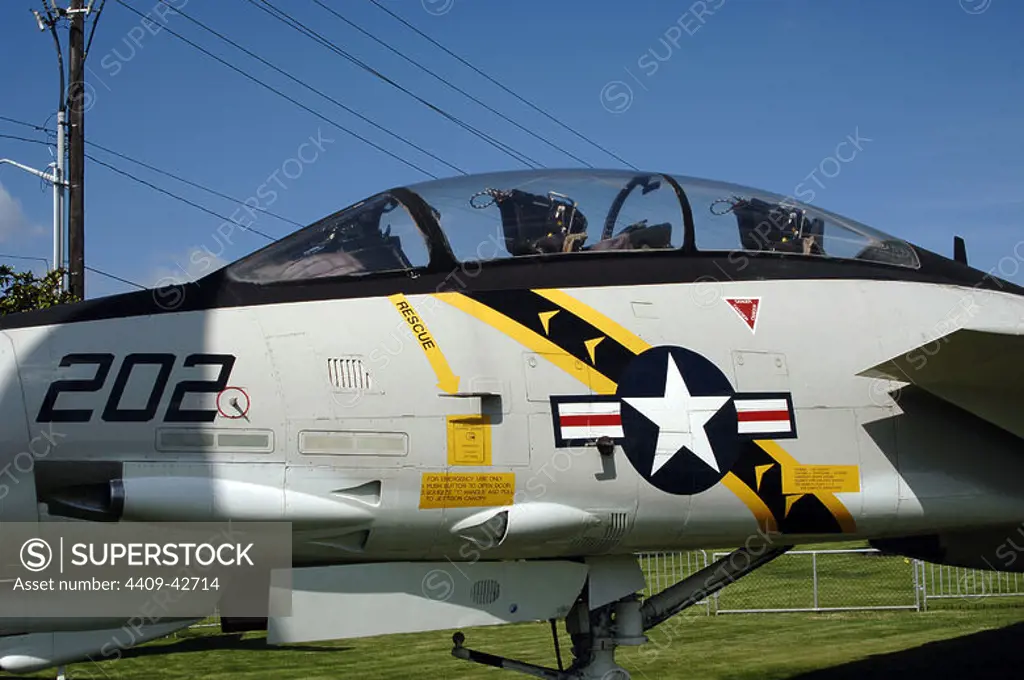GRUMMAN F-14A TOMCAT. Adscritos a la Armada Norteamericana (US Navy) en 1972. Museo del Vuelo. Seattle. Estado de Washington. Estados Unidos.