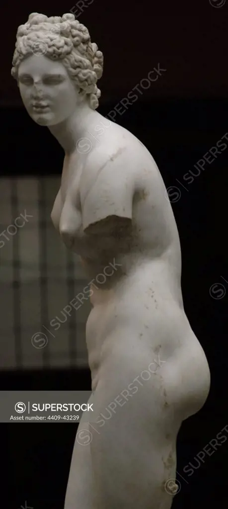 Roman Art. Marble statue of Aphrodite. Profile. Imperial period. 1st or 2nd century. Copy of a Greek statue of the 3rd or 2nd century B.C. Museum of Art. New York. United States..