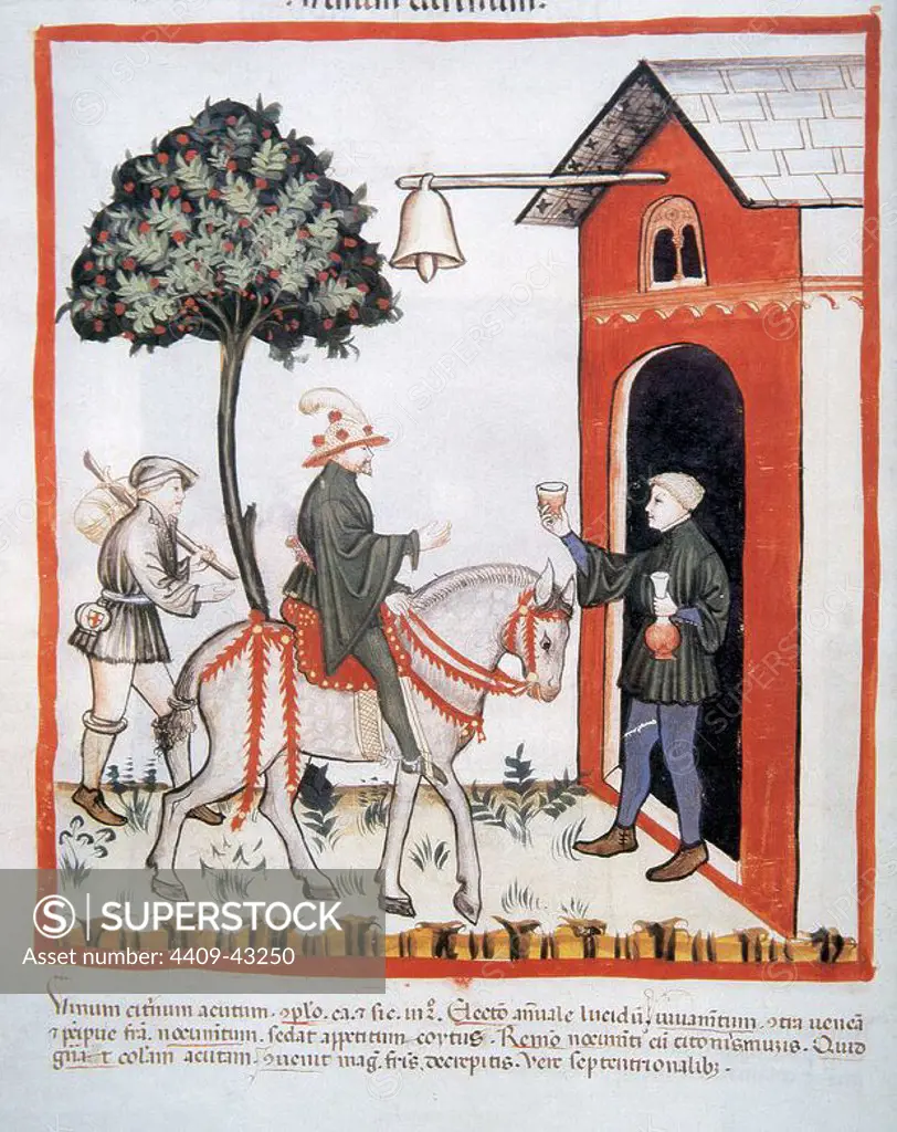 Tacuinum Sanitatis. 14th century. Medieval handbook of health. Servant offering a glass of wine to his master on his return home. Folio 87V.
