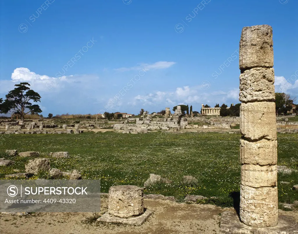 Italy. Paestum. Roman Forum. Ruins. Campania. Southern Italy.