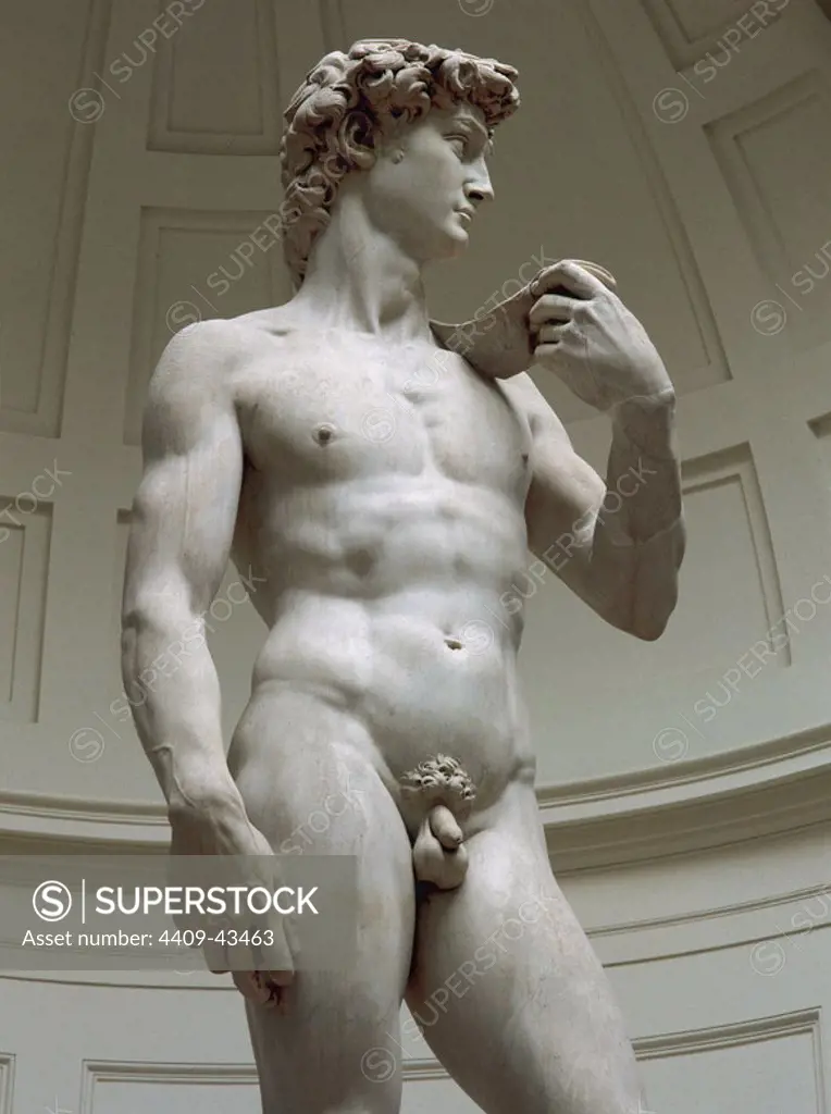 ARTE RENACIMIENTO. ITALIA. S. XVI. MIGUEL ANGEL (Michelangelo Buonarroti) (1475-1564). Pintor, poeta, escultor y arquitecto italiano. "DAVID" (1501-1505). Fue colocada ante el edificio de la Signoria. Museo de la Academia. Florencia.