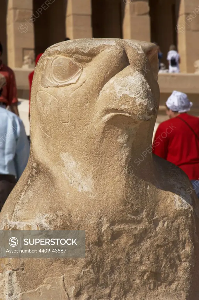 Sculpture of a falcon. Temple of Hatshepsut. Eighteenth Dynasty. New Kingdom. Deir El Bahari. Luxor.