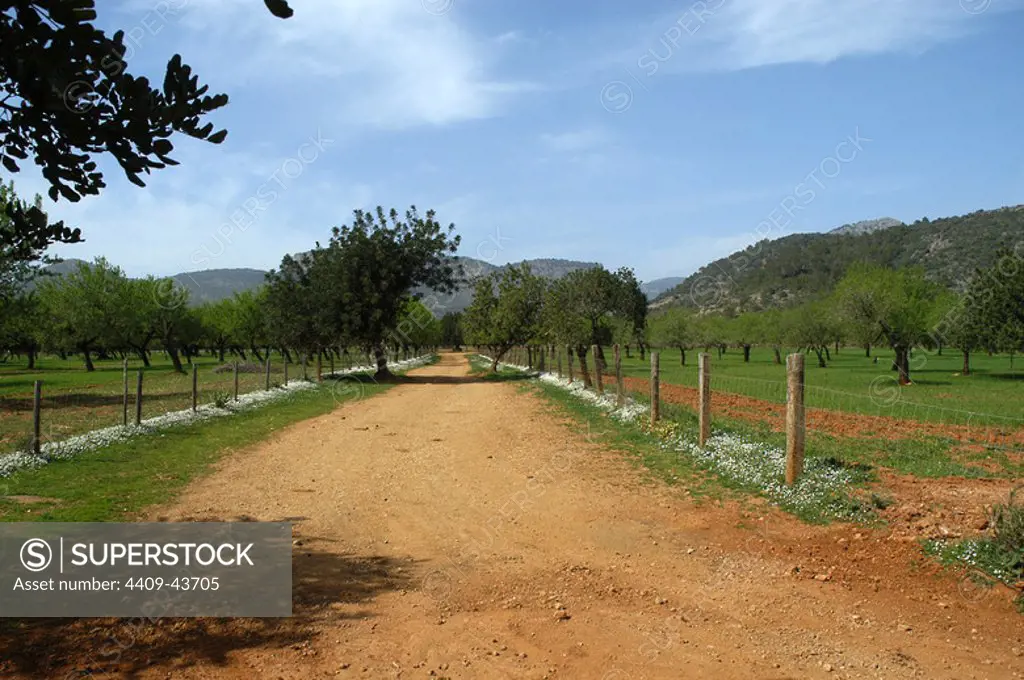 Spain. Balearic Islands. Majorca Island. Path and landscape in spring.