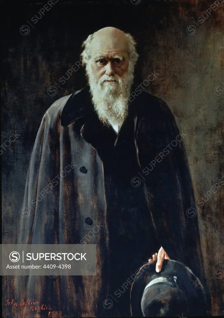 English school. Portrait de Charles Robert Darwin (1809-1882), English scientifc. London, Portrait Gallery. Author: JOHN COLLIER. Location: NATIONAL PORTRAIT GALLERY. LONDON.