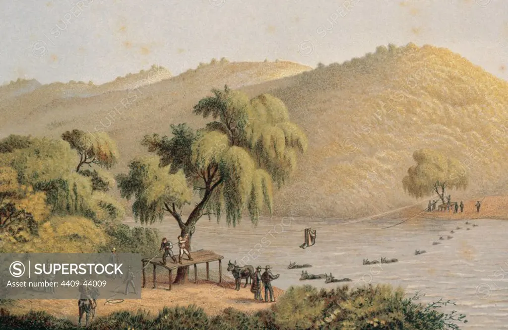 HISTORIA DE MEXICO. Ganado atravesando el río San Marcos, en el estado de Puebla. Litografía de principios del siglo XIX.