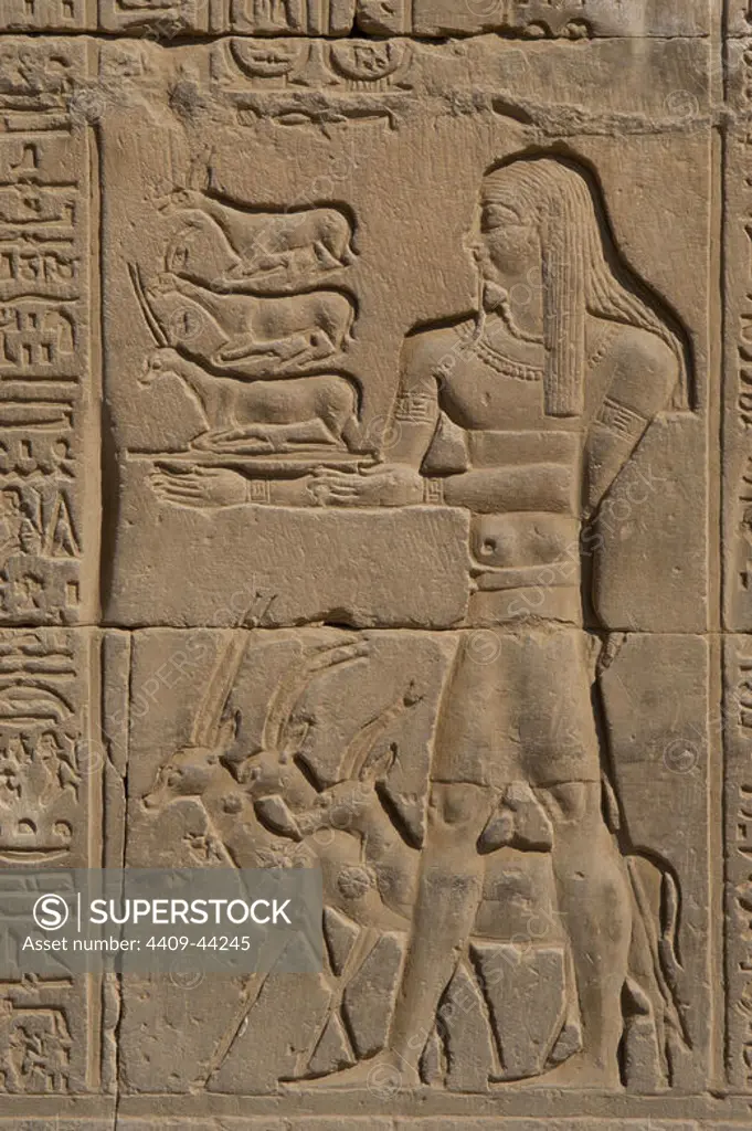 Egyptian Art. Temple of Kom Ombo. Ptolemaic Dynasty. 2nd century B.C. Dedicated to the crocodile god Sobek and falcon god Haroeris. Offerer. Relief.