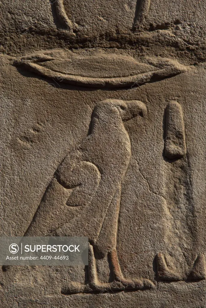 Hieroglyphic writing. EGYPT. Detail of a wall of the first court of Ramses II decorated with a drawing hieroglyph shaped like an eagle. TEMPLE OF LUXOR. Dynasty XIX. (1320-1200 B.C.). New Empire.
