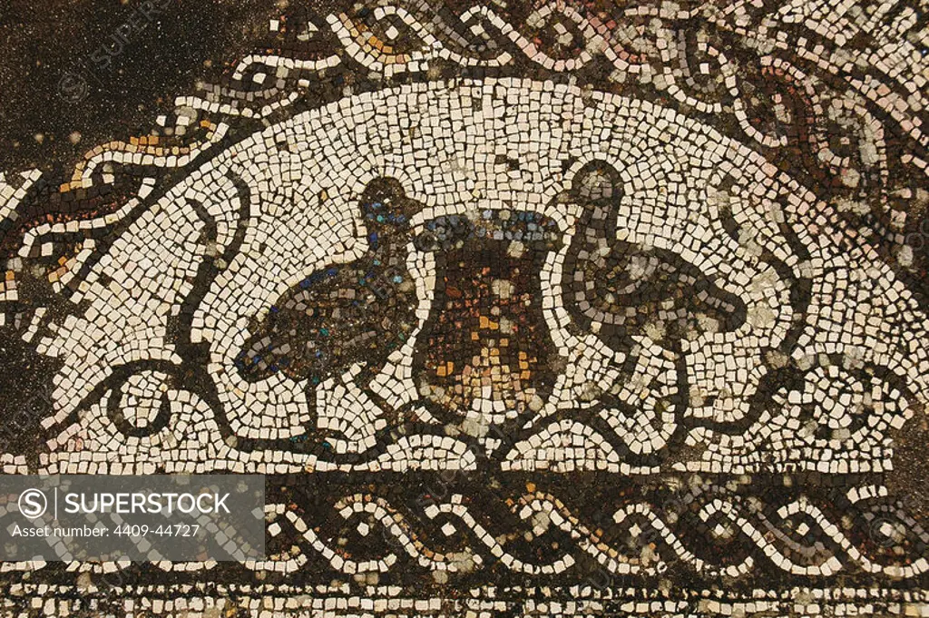 Roman Villa of Pisoes. Mosaic floor depicting naturalistic motifs. Birds. Portugal. The Alentejo. Beja.