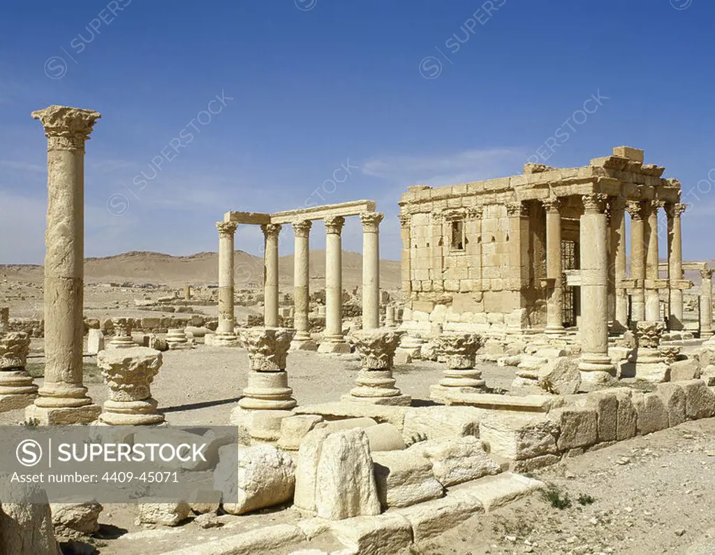 Syria, Palmyra. Ancient city, documented already in the 2nd millennium. General view of the Roman Temple consecrated to Baalshamin, god of the heavens. 1st century AD. (Oasis of Tadmor). (Photo taken before its destruction by the Islamic State in 2015, during the Syrian civil war).).