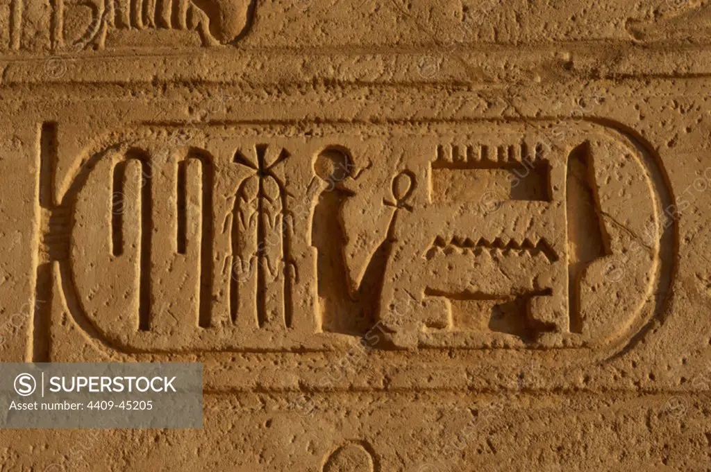 Hieroglyphic writing. Royal protocol of Ramses II. Fifth title of the Pharaoh: son of Ra.19th Dynasty (1320-1200 b.C.). New Empire. Egypt.