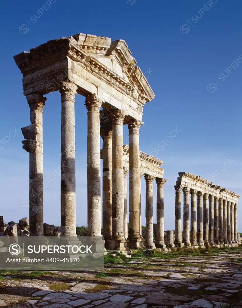 Syria. Apamea or Apameia (Afamia). Colonnade in the Cardo Maximus.