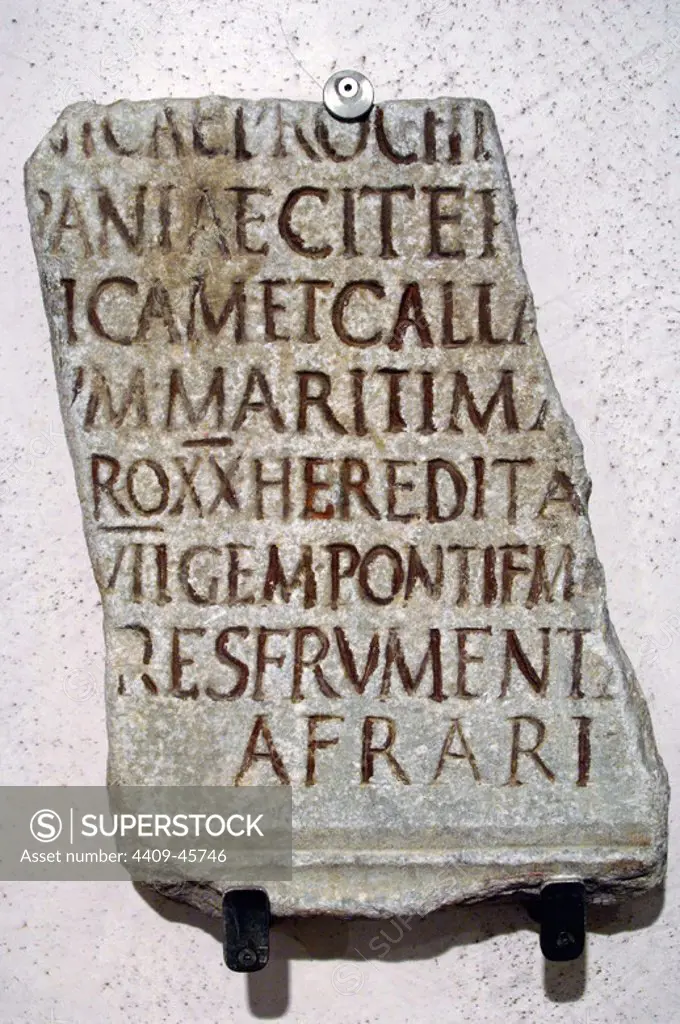 Praefectus annonae (Prefect of the Provisions). Roman imperial offficial charged with the supervision of the grain supply to the city of Rome. The inscription, base on the reconstruction of an ancient manuscript, was placed for the prefect C. iunius Favianus, from the African wheat and oil traders (afrari), into the statio annonae. National Roman Museum (Baths of Diocletian). Rome, Italy.