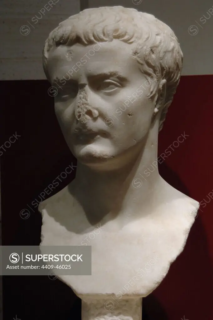 Tiberius (Tiberius Julius Caesar) (Rome, c. 42 BC-Misena, 37 AD). Roman Emperor (12-37) of the Julio-Claudian dynasty. It was adopted by Augustus, who named him his successor. Bust of young Tiberius. Greek marble. Found on Via Giolitti. Palazzo Massimo. National Roman Museum. Rome. Italy.