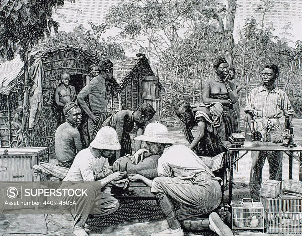 HISTORY OF AFRICA. Doctors in an expedition of European explorers, examining the native blood attacked by sleeping sickness. Engraving by Thiriat. 1903.