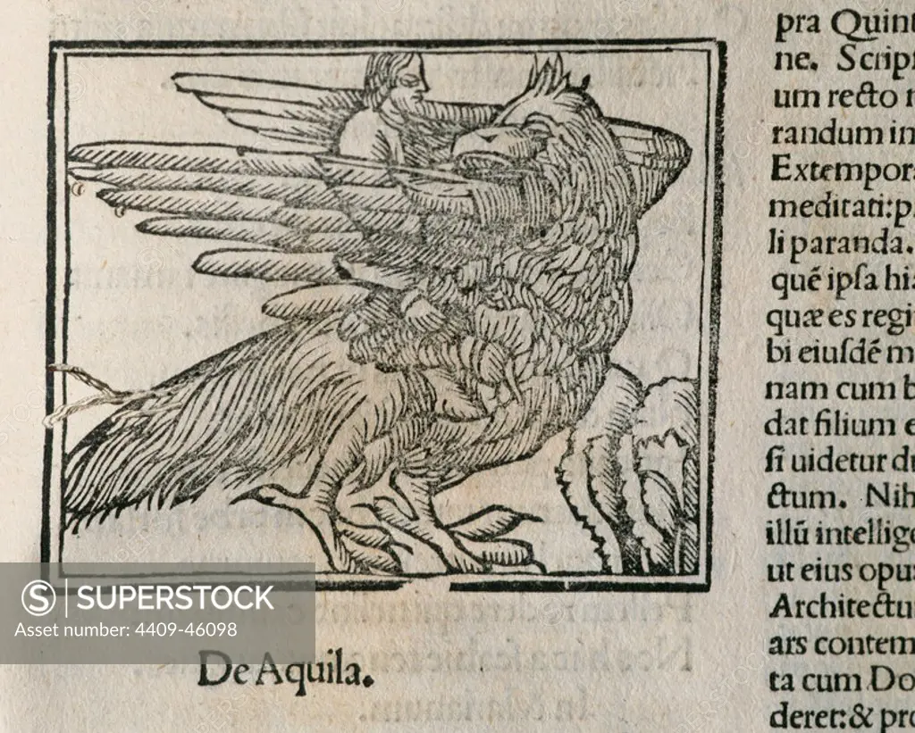 Eagle. Detail of the book Epigrams by Martial (40-104), latin poet. Latin edition. Venice. 1514.