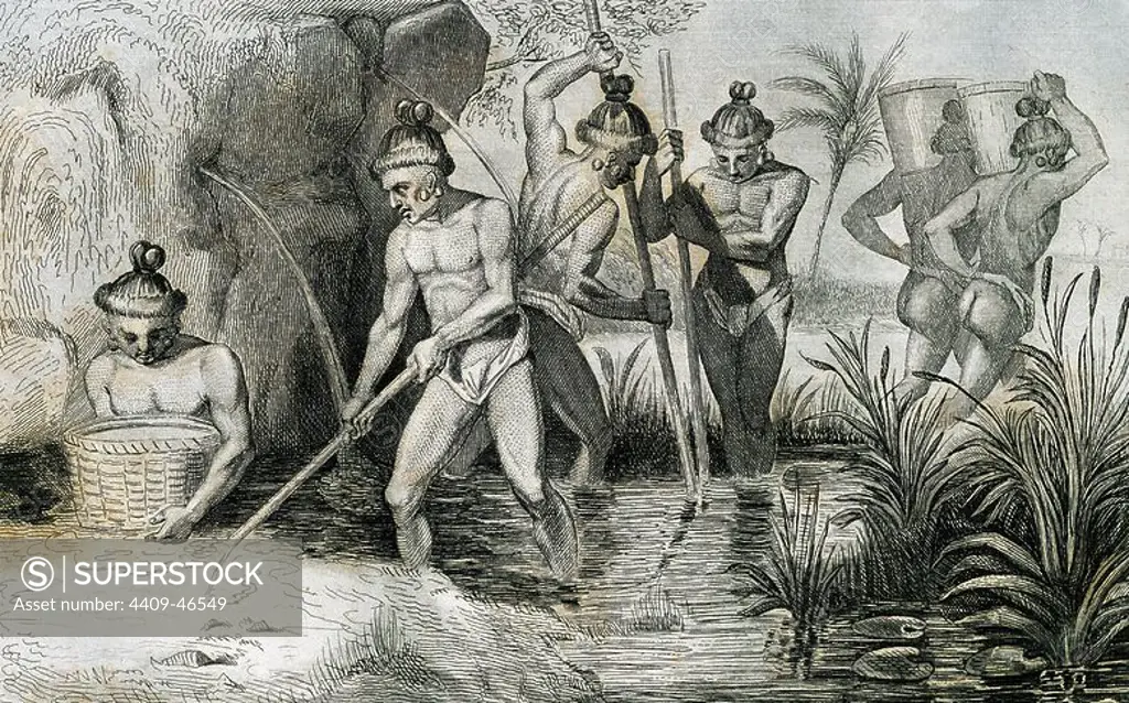 Floridians collecting gold. 16th century. French engraving, 1844. Drawing by Demoraine and engraving by Taillant.