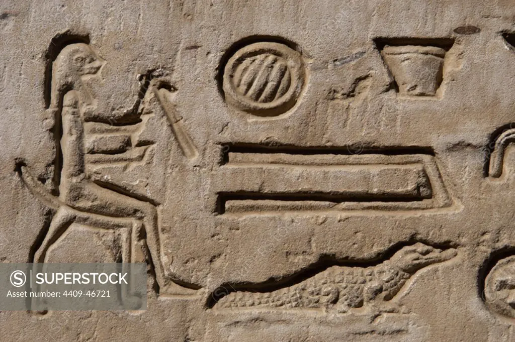Egyptian Art. Temple of Kom Ombo. Ptolemaic Dynasty. 2nd century B.C. Dedicated to the crocodile god Sobek and falcon god Haroeris. Hieroglyphic symbols and crocodile. Relief.