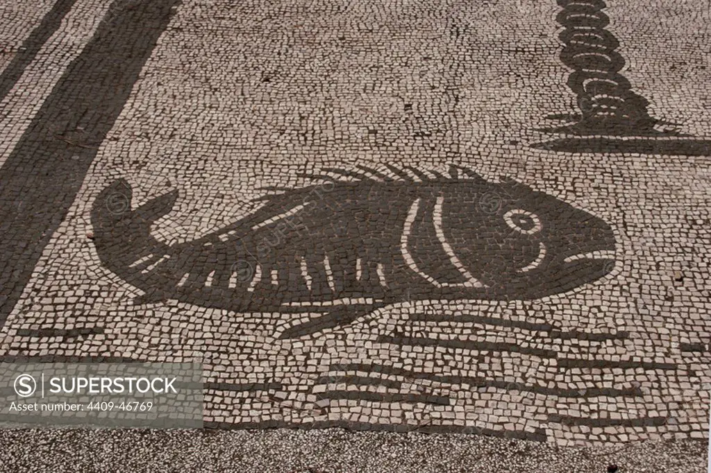 Roman mosaic. Fish. From the Forum of the Corporations or Piazza delle Corporazione. Ostia Antica. Italy.