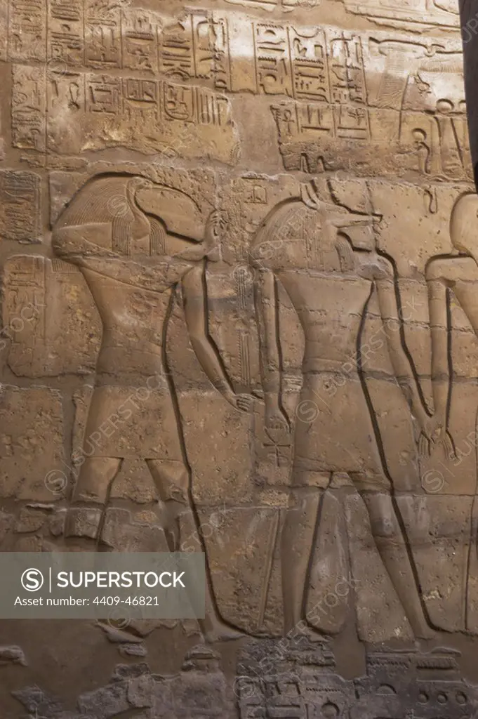 Relief depicting the god of wisdom, Toth (ibis-headed man) and the god of the dead, Anubis (jackal-headed man). Luxor Temple. Egypt.