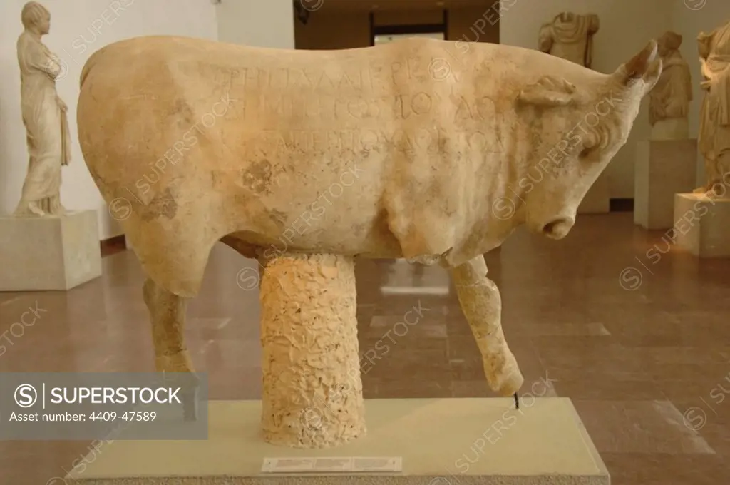 Roman Art. Greece. 2nd century. Marble sculpture depicting a bull with a votive inscription of Regilla, wife of Herodes Atticus, offered to Zeus. Dated between 147-150 A.D. Located in the exedra of Herodes Atticus. Archaeological Museum of Olympia.