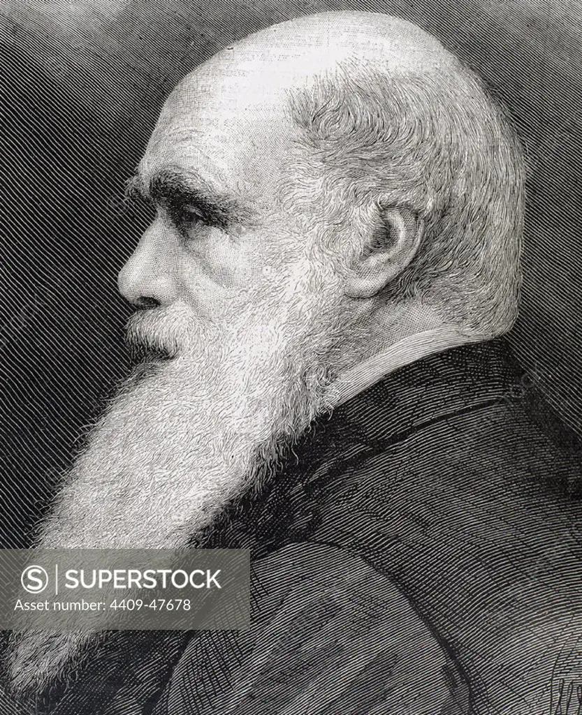 CHARLES ROBERT DARWIN (1809-1882). British naturalist. Author of the work 'The origin of the species', published in the year 1859. 19th century. ENGRAVING.