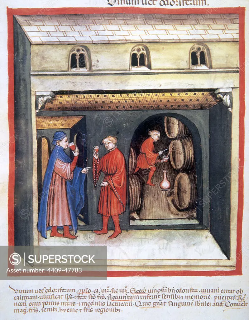 Tacuinum Sanitatis. 14th century. Medieval handbook of health. Wine cellar. Two men drinking wine while another man is extracting wine from a barrel. Folio 86v.