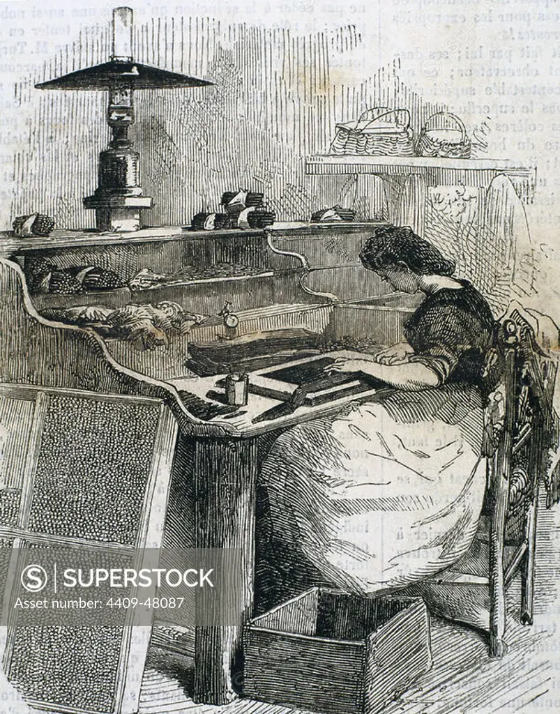 The snuff industry. Woman rolling cigars. France. Engraving,1885.