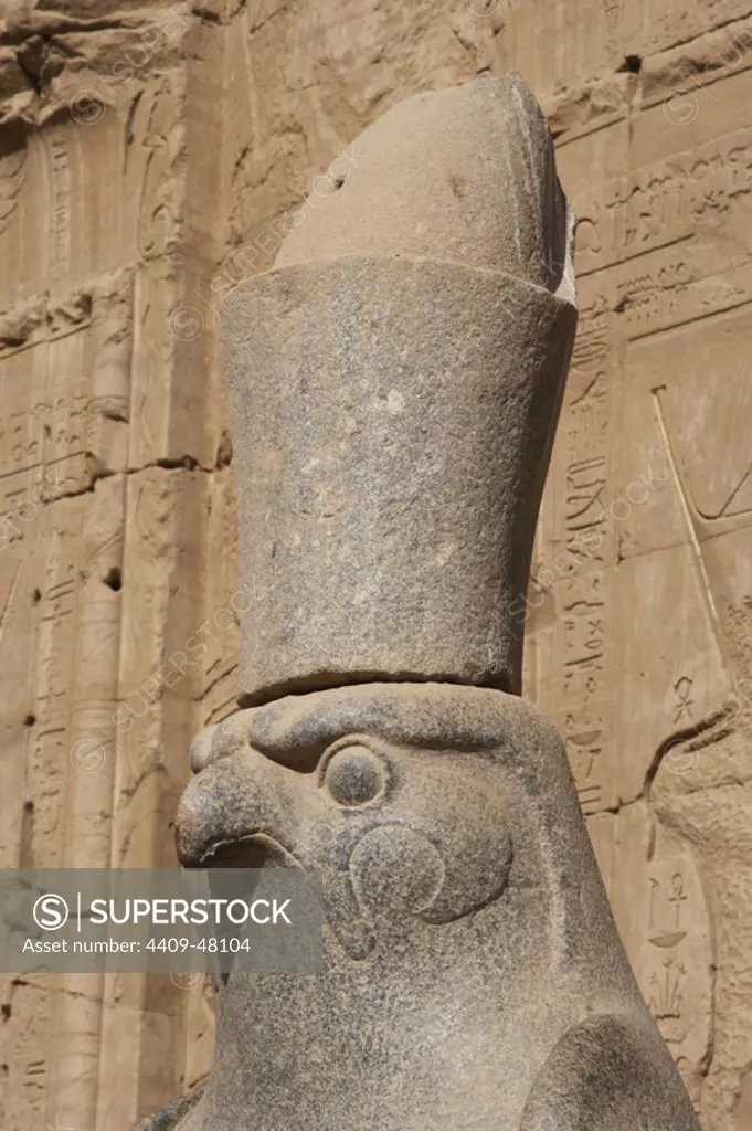 Egypt, Edfu. Temple of Horus. Pronaos. Ptolemaic period. It was built during the reign of Ptolemy III and Ptolemy XII, 237-57 BC. Granite statue of the falcon God Horus wearing the double crown of Egypt. Detail.