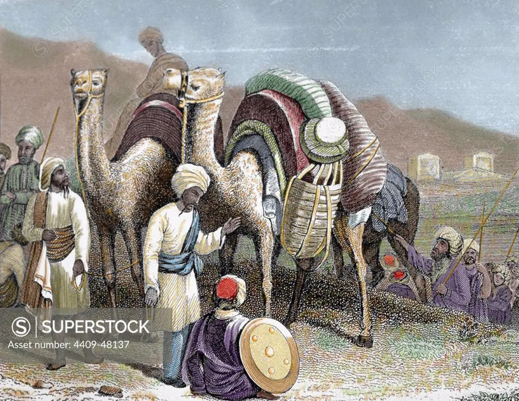 Silk Road. Caravan of camels resting. Antioch. Nineteenth-century colored engraving.
