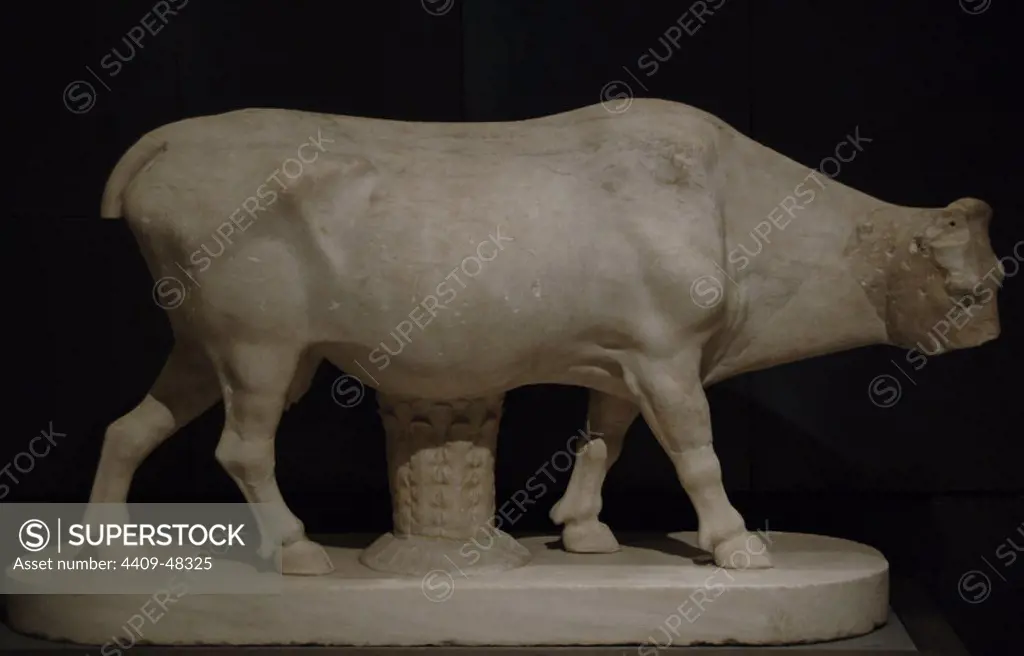 Roman Art. Italy. Cow. Pentelic marble. Copy after a bronze statue by Greek sculptor Myron (460-440B.C.). Capitoline Museums. Rome. Italy.