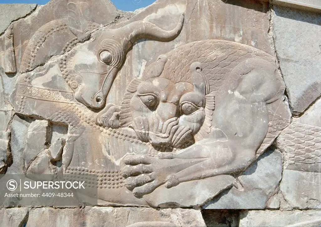 Persian art. Persepolis. Achaemenid period. Apadana Palace. First palace built under Darius I in the new capital, Persepolis. Stands decorated with reliefs. 6th century and 5th centuries BC. Lion and bull combat. Islamic Republic of Iran.