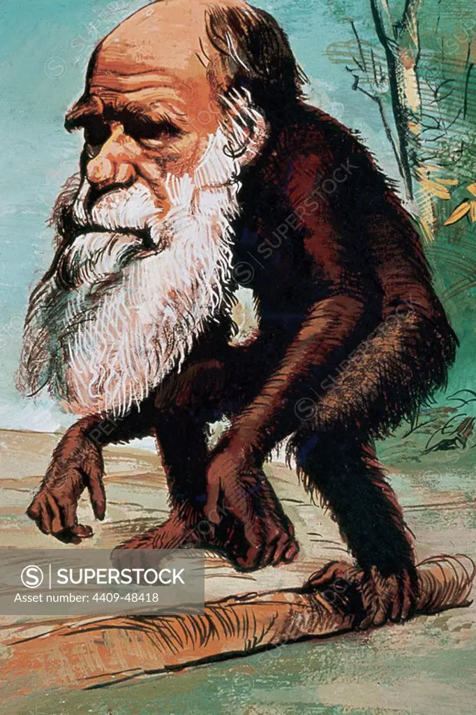 Charles Robert Darwin (1809-1882). British naturalist. Author of The Origin of Species, 1859. Caricature of Darwin depicted as a monkey. Watercolour painting by Francisco Fonollosa, Spanish illustrator (late 20th century).