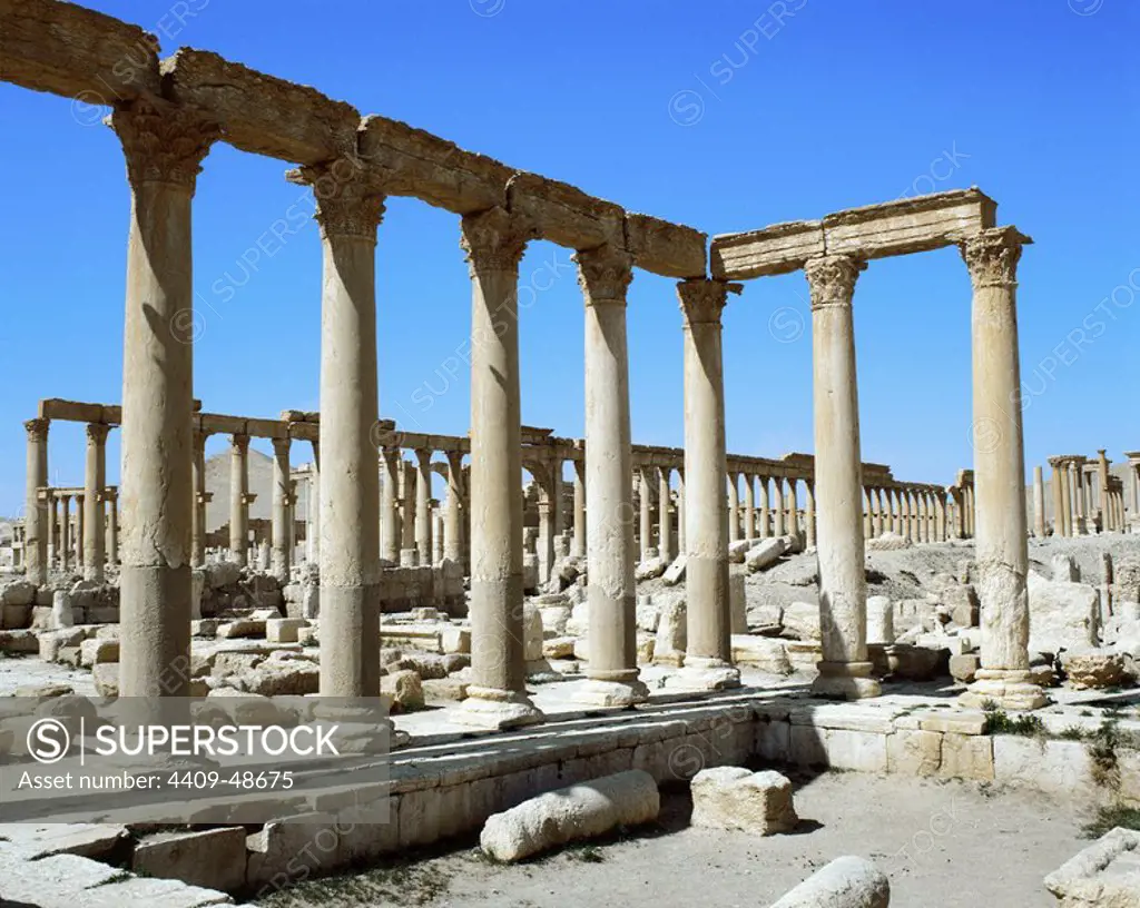 Roman Art. Syria. Palmyra. Baths of Diocletian. 4th century AD. Ruins. Oasis Tadmor.