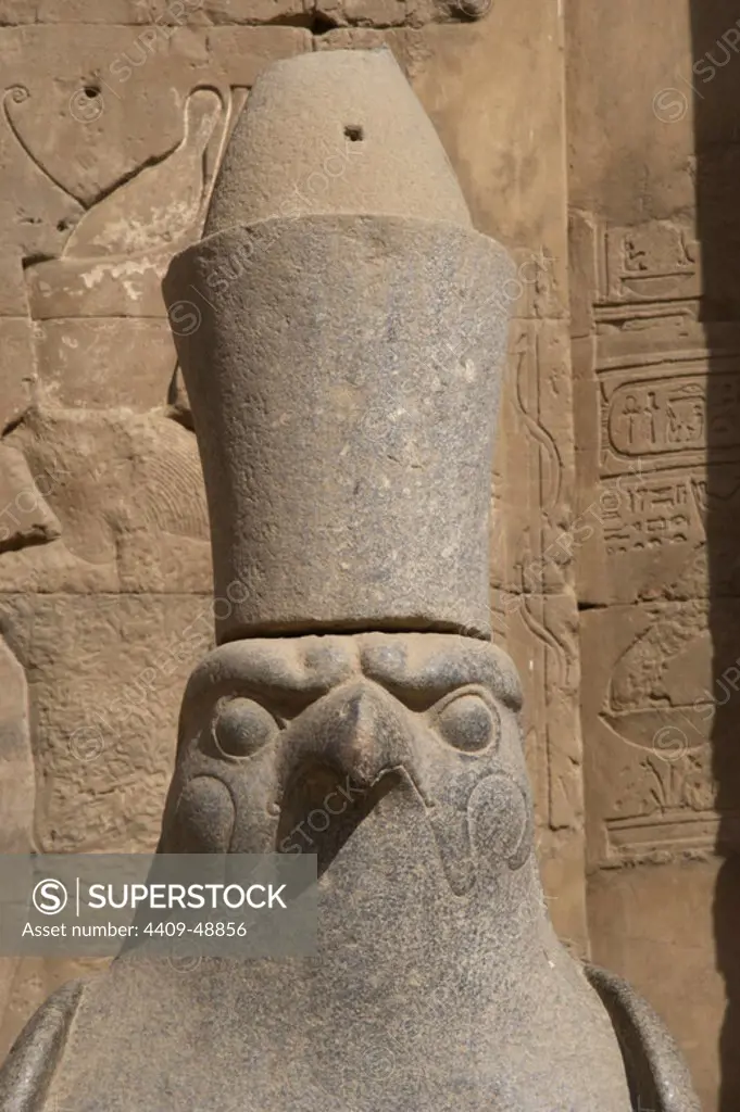 Egypt, Edfu. Temple of Horus. Pronaos. Ptolemaic period. It was built during the reign of Ptolemy III and Ptolemy XII, 237-57 BC. Granite statue of the falcon God Horus wearing the double crown of Egypt. Front view, detail.
