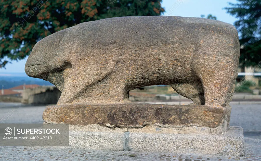 Culture of Verracos (3rd-4th centuries). Detail of Verraco. Granite megalithic monument. Represented pigs or bulls. Est Iberian meseta. Pre-romanic celtic peoples. Ciudad Rodrigo. Province of Salamanca. Spain.