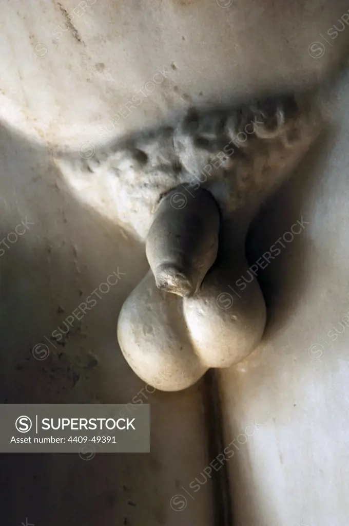 Hermes Logios (Hermes Orator). Roman copy from 1st-2nd century CE after Greek original, 5th century BC. Statue. Marble. Detail of the genitals. Altemps Palace. National Roman Museum. Rome. Italy.