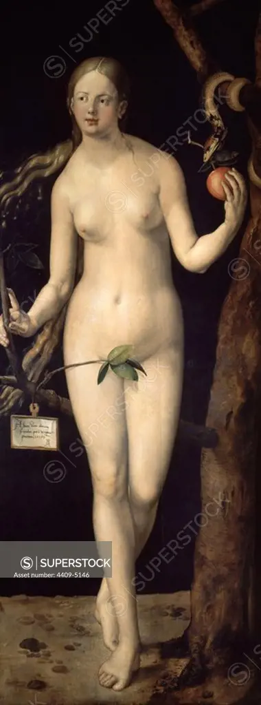 Eve', 1507, Oil on panel, 209 cm x 80 cm, P02178. Author: ALBERTO DURERO-ALBRECHT DÜRER. Location: MUSEO DEL PRADO-PINTURA. MADRID. SPAIN.
