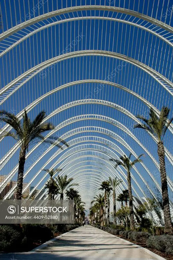 Spain. Valencia. City of Arts and Sciences. Is an entertainment-based cultural and architectural complex. Designed by Santiago Calatrava and Fe_lix Candela. 1996-1998. L'Umbracle.