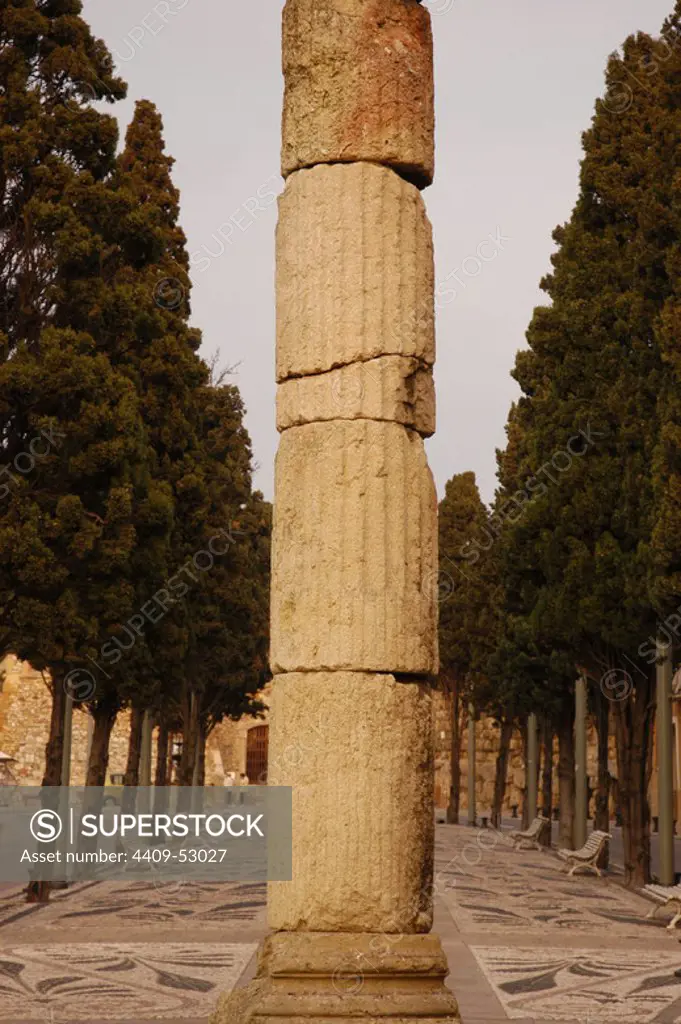 ARTE ROMANO. ESPAÑA. TARRAGONA. Vista de los restos de una columna de época romana. "Vía de L'Imperi".