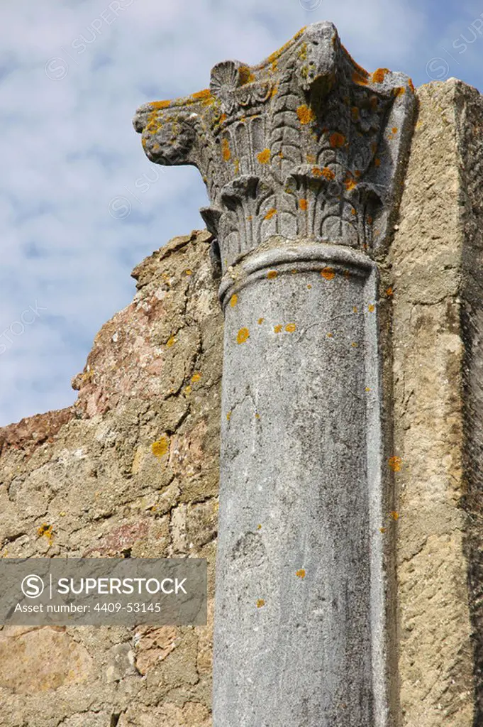 Portugal. Roman ruins of Miróbriga. Ancient Lusitanian settlement whose present-day ruins are dated to the Roman period, between the 1st and 4th centuries. Detail of a Corinthian column in the Forum. Surrounding area of Santiago do Cacém. Alentejo region.