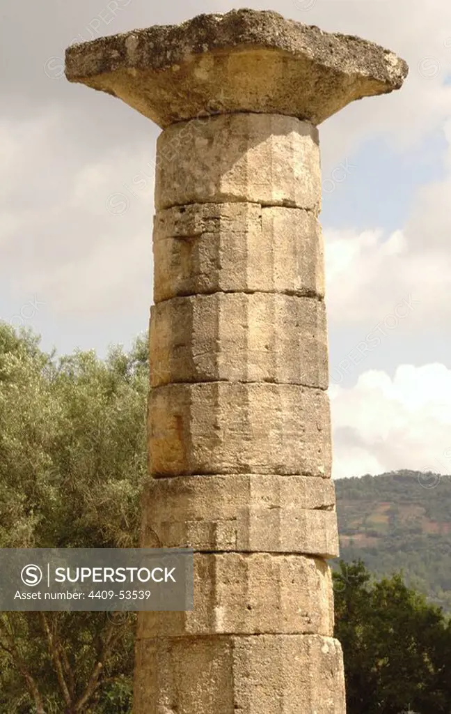 Temple of Hera (Heraion). Doric style. Peripteral and hexastyle. 6th century B.C. Doric column. Altis. Sanctuary of Olympia. Greece.