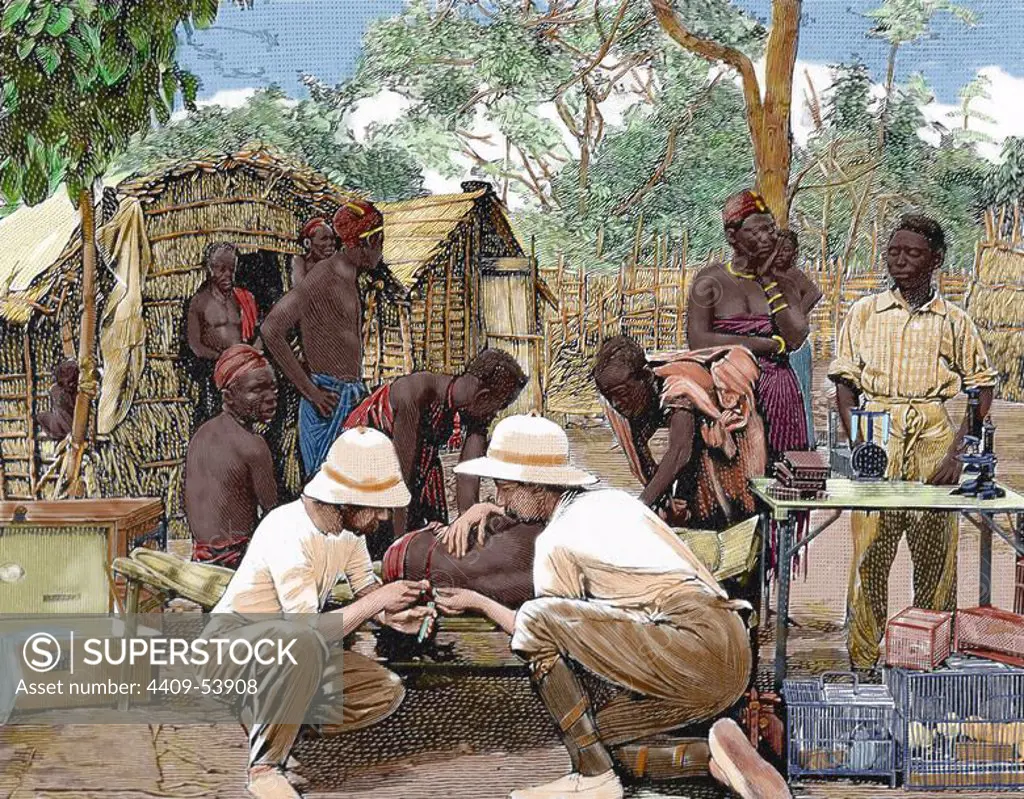 HISTORY OF AFRICA. Doctors in an expedition of European explorers, examining the native blood attacked by sleeping sickness. Engraving by Thiriat. 1903. Colored.
