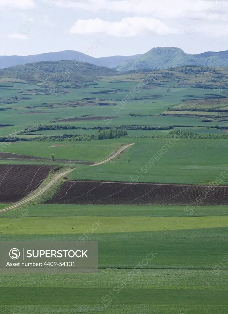 PAISAJE AGRICOLA con campos de cultivo. LA RIOJA. España.
