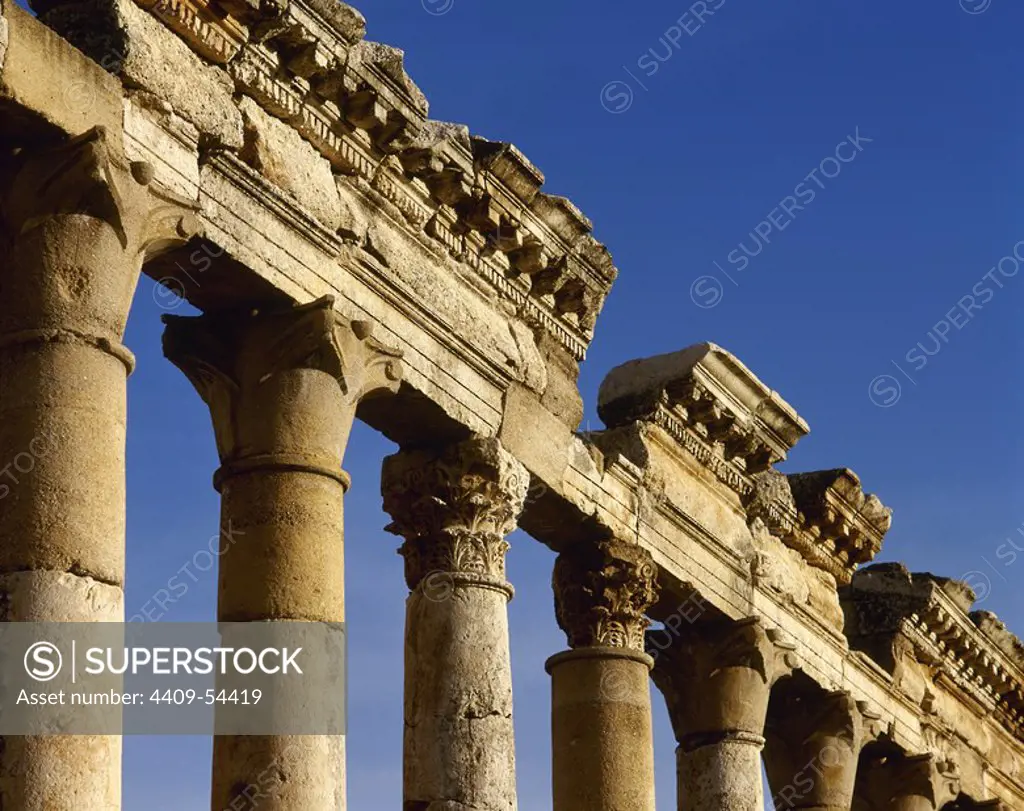 Syria. Apamea or Apameia (Afamia). Colonnade of the Cardo Maximus. Architectural detail. Photo taken before the Syrian civil war.