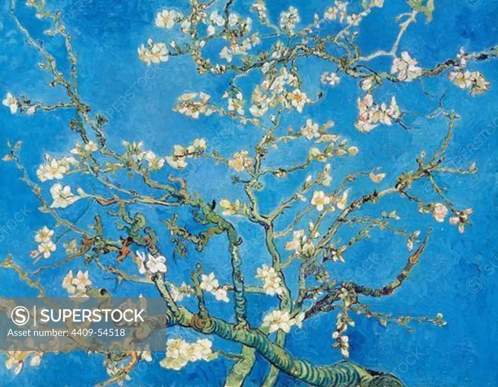 ARTE S. XIX. HOLANDA. VAN GOGH, Vincent (Groot-Zundert,1853-Auvers-sur Oise,1890). "RAMA DE ALMENDRO EN FLOR". Obra postimpresionista realizada en 1890. Museo Vincent Van Gogh. Amsterdam.