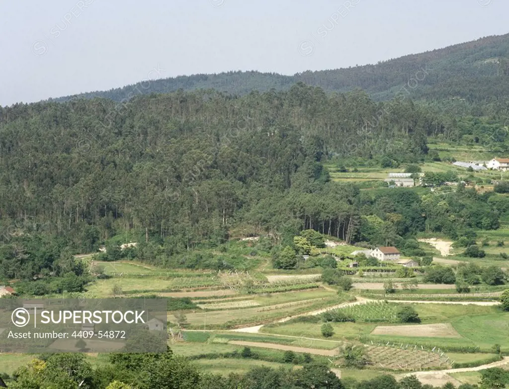 Spain, Galicia, Pontevedra province. Agricultural landscape, near Armenteira monastery.