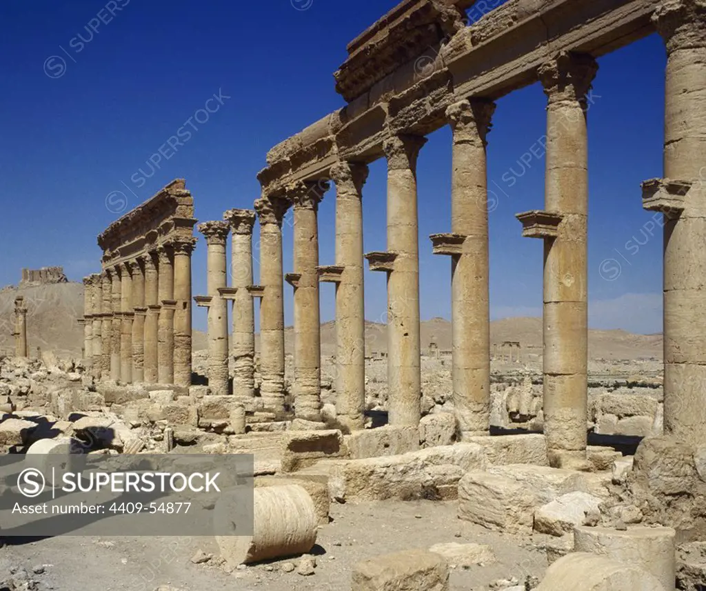 Syriac. Ruins of Palmyra city. Middle East. Colonnade. 3rd century AD. Oasis of Tadmor. Photo taken before the Syrian civil war.