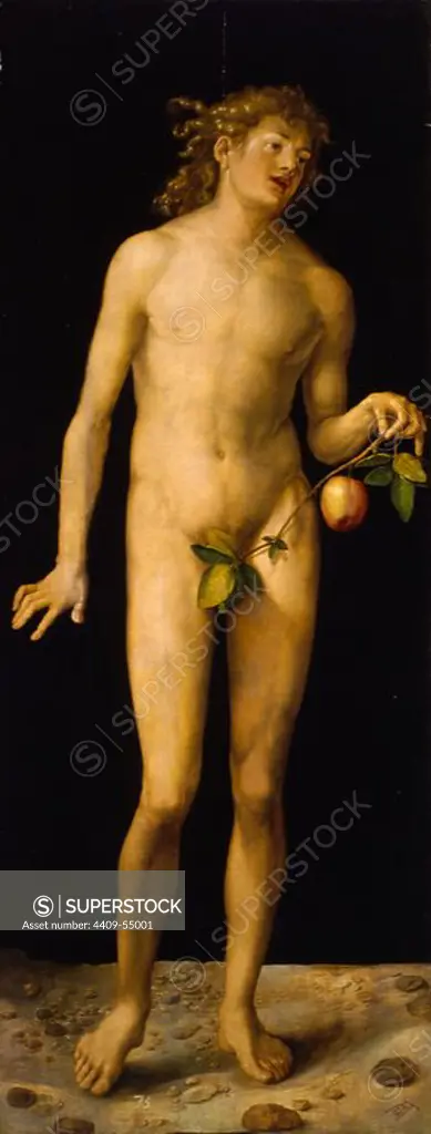 'Adam', 1507, Oil on panel, 209 x 81 cm, P02177. Museum: MUSEO DEL PRADO, MADRID, SPAIN. Author: Albrecht Dürer.