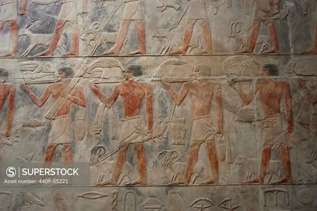 Mastaba of Kagemni (2350 BC). Chief Justice and vizier of the Pharaoh Teti. Hall of the False Door Stela. Relief depicting servants carrying offerings to the Ka of the deceased. Old Kingdom. Saqqara. Egypt.